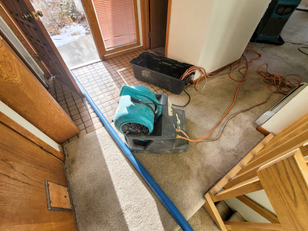  , USA Water damage restoration Pros